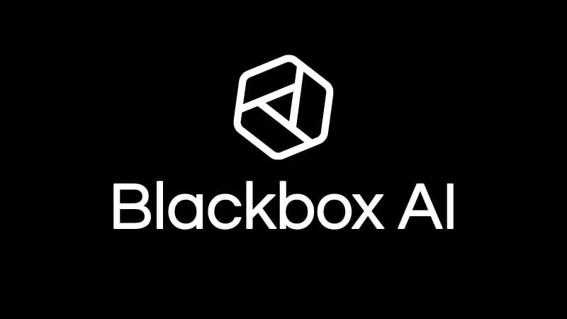 Black Box AI